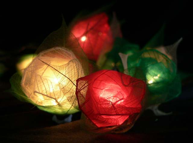 Red White Green  Rose Flower Head - fairy lights